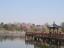 桃花島公園