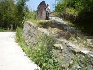 金雞山村[安徽省六安市霍山縣大化坪鎮下轄村]