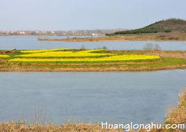 黃龍湖[漢川市馬鞍鄉黃龍湖]