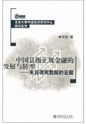 中國縣級正規金融的發展與轉型：來自微觀數據的證據