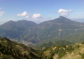 定襄縣鳳凰山景區