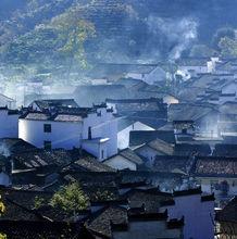 石堂村[鄆城縣陳坡鄉石堂行政村石堂村]