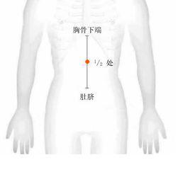 中脘穴[人體穴位]