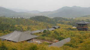 顧渚山茶園