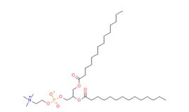 二肉豆蔻醯磷脂醯膽鹼(DMPC)