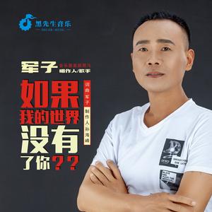 如果我的世界沒有了你[軍子演唱歌曲]