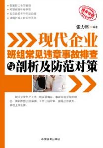 現代企業班組常見違章事故排查與剖析及防範對策