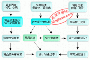 急性腎上腺皮質功能衰竭