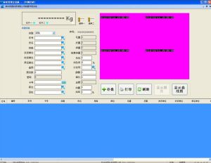 稱重軟體稱重主界面