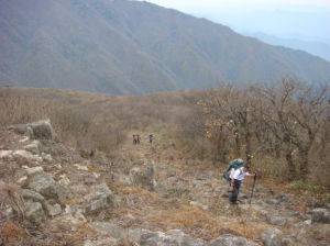 泥塢村