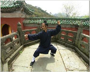 武氏太極拳