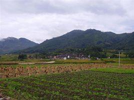 石家寨村[山西大同市南郊區水泊寺鄉下轄村]