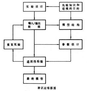 系統辨識