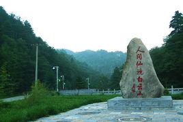 白雲山森林公園[河南洛陽白雲山國家森林公園]