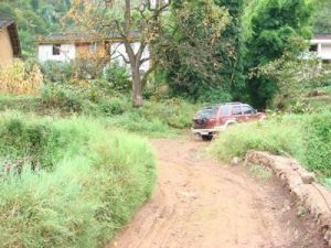 呂家村[雲南省曲靖會澤縣大井鎮黃梨行政村]