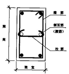 腹筋