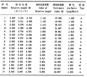 隨體長度未計算在內