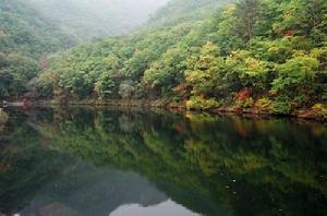 森林公園內景色