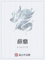 薛鼎[水王走刀口創作的網路小說]