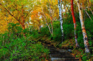 白石山國家地質公園