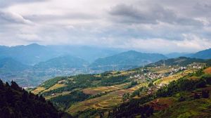 美麗梯田