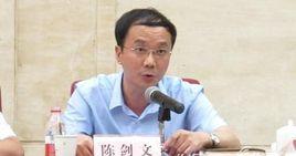 陳劍文[湖北日報傳媒集團社長、黨委書記、董事長]