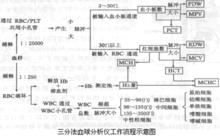 三分類血球分析儀工作流程示意圖