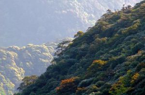 峰山國家森林公園