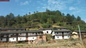 高峰村[福建省寧化縣治平畲族鄉高峰村]