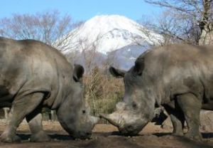 富士野生動物園