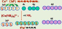 圖四