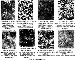 鋼鐵顯微組織