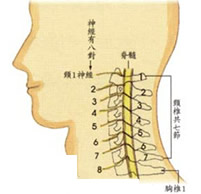 古生堂頸椎病