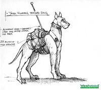 因涉嫌虐待動物而被取消的警犬