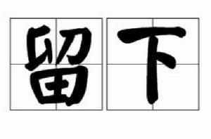 留下[漢語詞語]