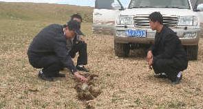 （圖）仲巴地震