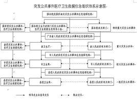 國家突發公共衛生事件應急預案