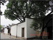 劉家大院[福建省福州市三坊七巷之劉家大院]