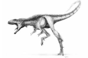 Raptorex kriegsteini