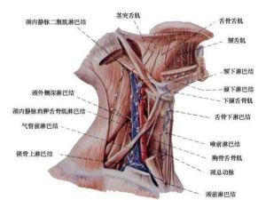 頸淋巴結炎