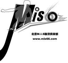 MIS66 LOGO