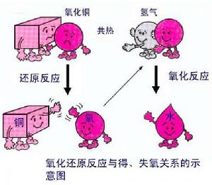 得失氧關係示意圖