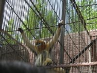 武威神州荒漠野生動物園