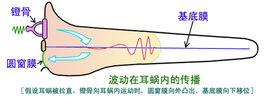 行波學說