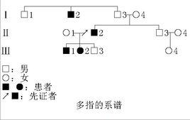 不規則顯性