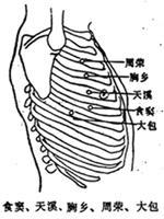 天溪穴穴點陣圖一