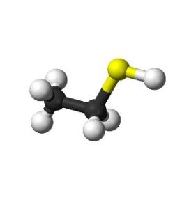 硫氫乙烷