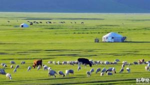 吉爾格勒特郭愣蒙古民族鄉