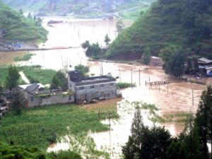 利河村大量良田被淹