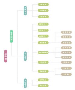 廣東百合醫療科技有限公司